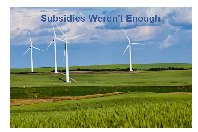 Subsidies Werent Enough